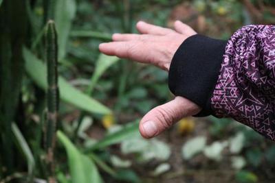 Thin Pullover Hoodie - Tessellation