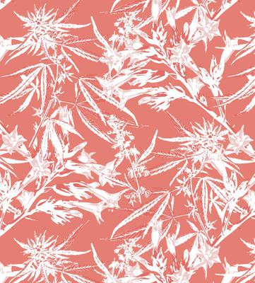 Coral Cannabis Blooms - Yoga Leggings