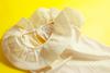 baby Pantie image 1