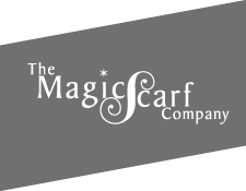 this.src = 'https://s3-us-west-2.amazonaws.com/seebiz-images/img/default-new-logo.svg'