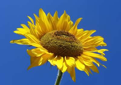 Test Post Pics