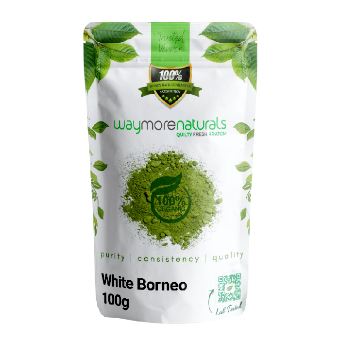 White Borneo (Free Sample)