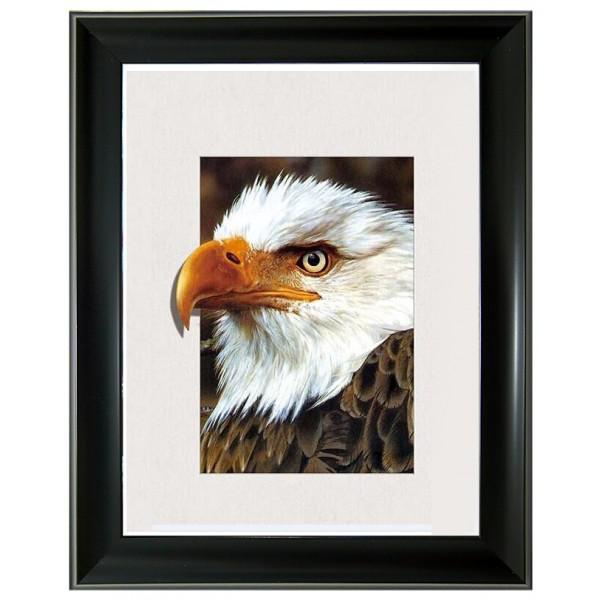 584 Bald Eagle 5D Picture Size 15x19