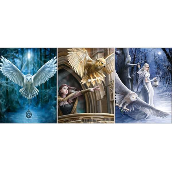 379 Mystical Owl & Sorcerer Triple Image