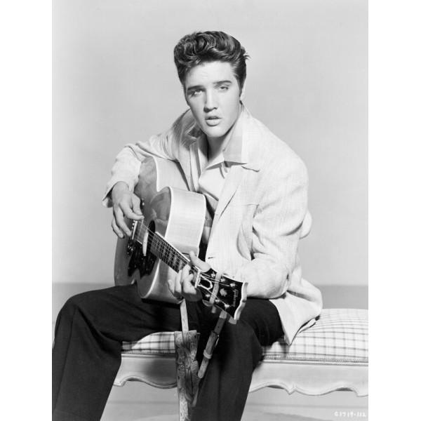 36264 Elvis Presley 18"x26" Oil Canvas