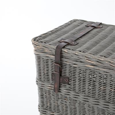 Theory Wicker Console Trunk