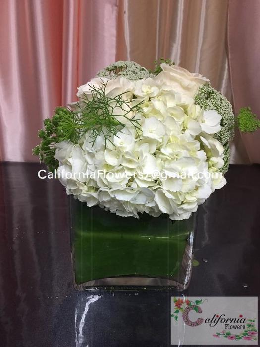 Camilia White Short center pcs