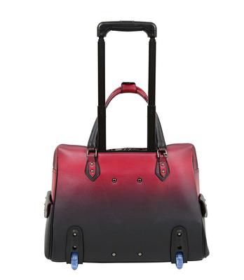 Rina Ombr Laptop Carrier