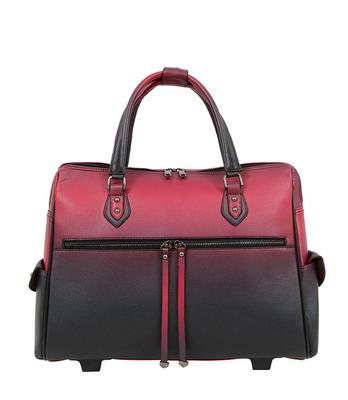 Rina Ombr Laptop Carrier