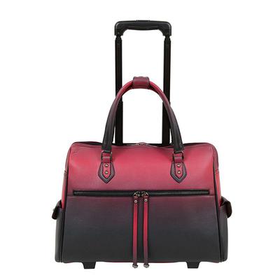 Rina Ombr Laptop Carrier