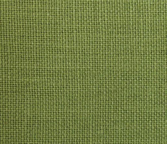 H58-NL6- Snow Pea