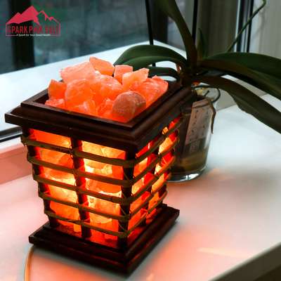 Spark Pink Himalayan Salt Lamps