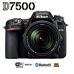 Nikon D7500 Camera