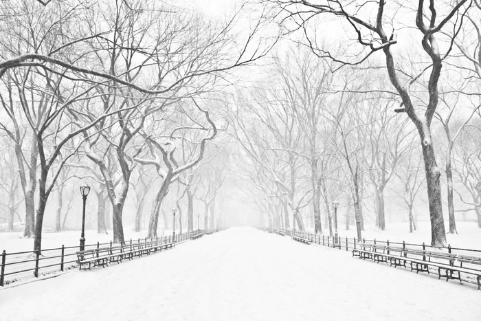 Winter is coming ❄️☃️