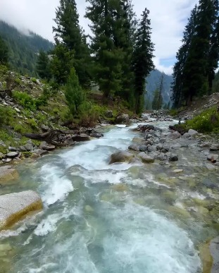 description image